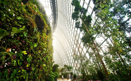b_453_283_16777215_0_0_images_world_2014_2014-11-17-92.jpg