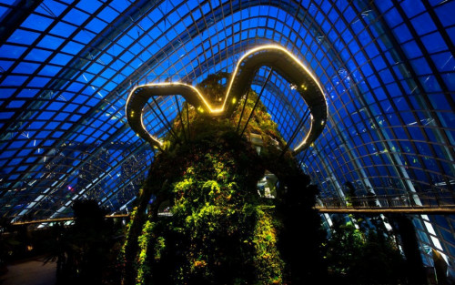 b_500_313_16777215_0_0_images_world_2014_2014-11-17-98.jpg